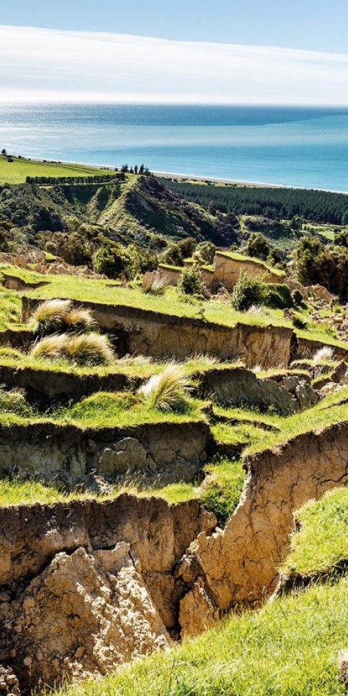 Bustling Kaikōura street scene