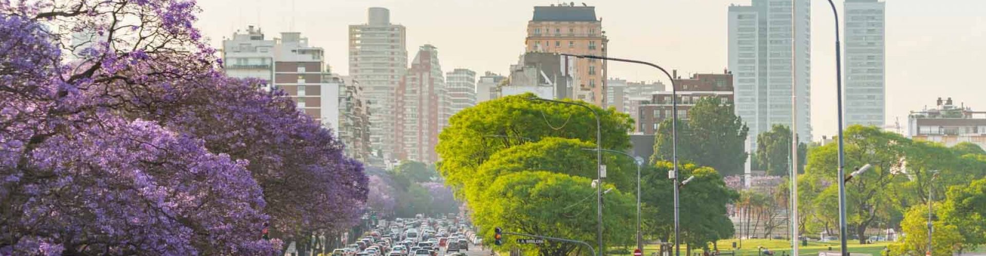 Getting around Buenos Aires: Subte and bike share