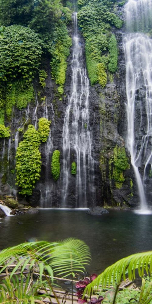 Scooter and street in Bali