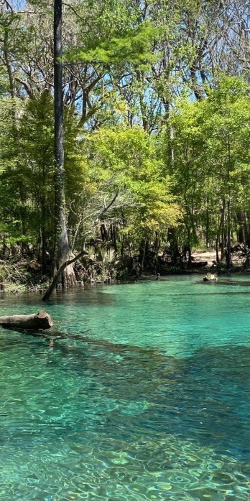 Bicycle ride through Niceville, FL, US streets