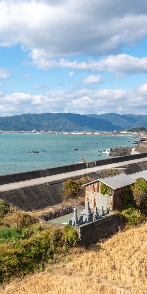 Tram moving through Kochi street