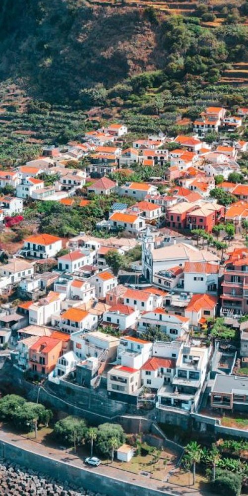 Scenic street in Madeirã, PT