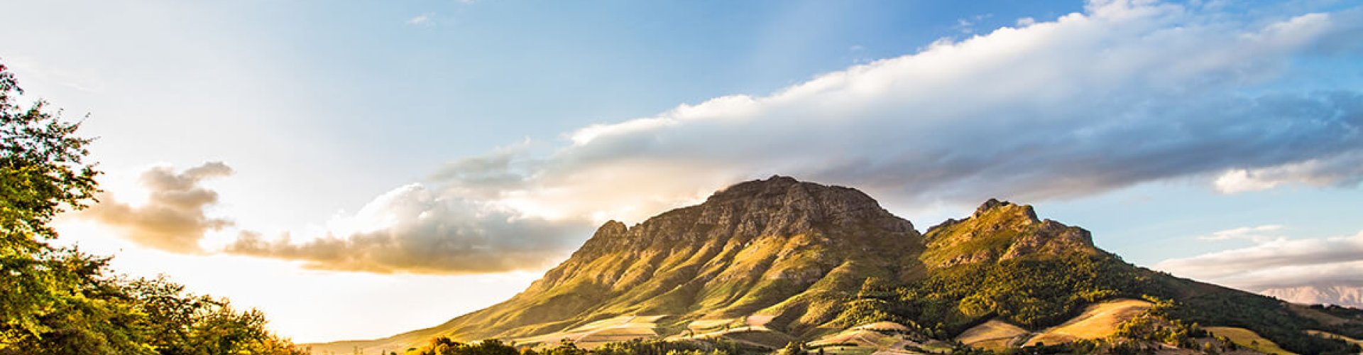 Evening riverside shot of Stellenbosch