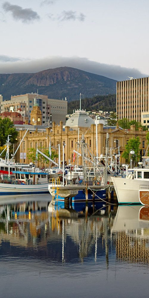 Hobart public transport bus in city street