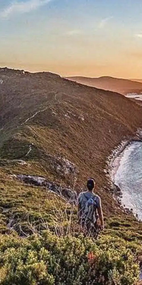 Bike paths and streets of Albany