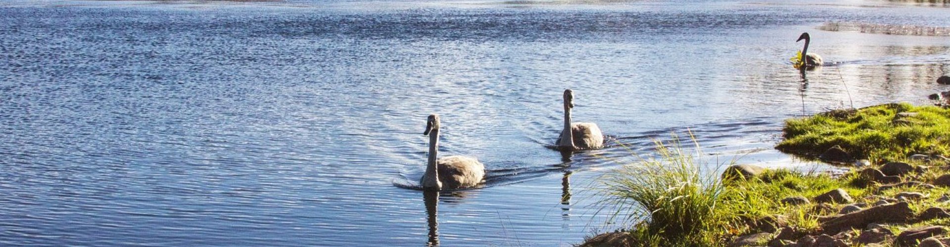 Evening riverside view in Sedgefield, ZA