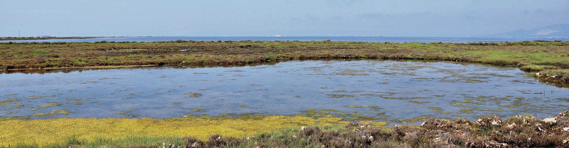 Evening riverside shot of Amposta