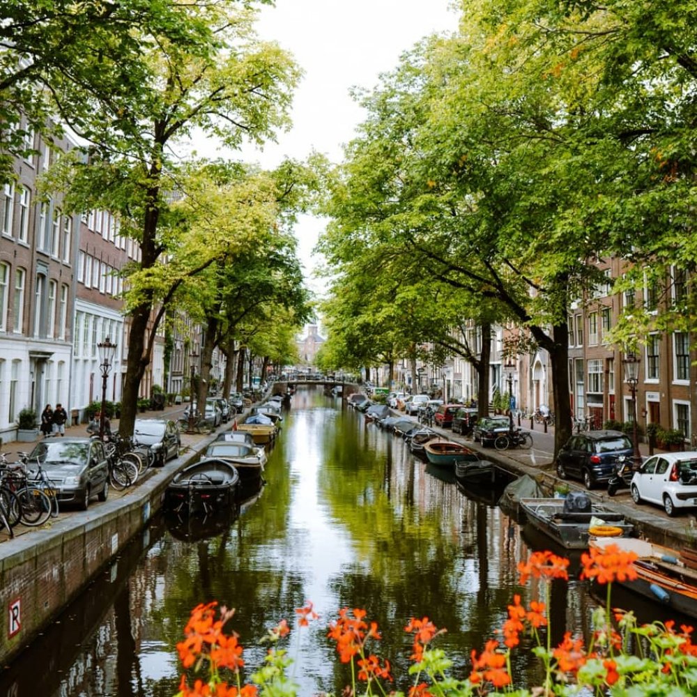 Ultimate Guide: Top Things to Do in Amsterdam, NL for an Unforgettable Urban Adventure