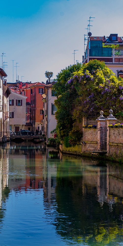 Bicycle by canal in Treviso, IT
