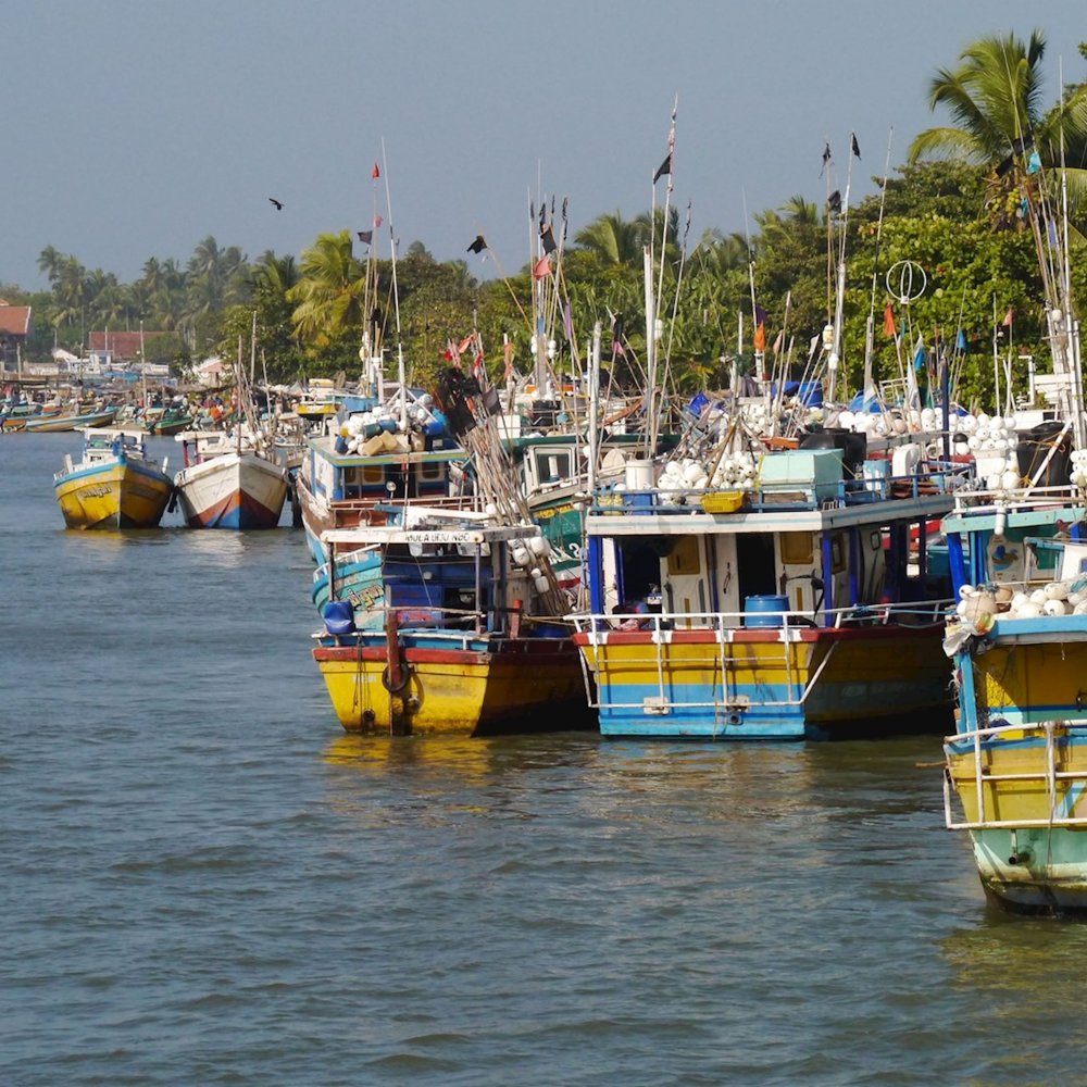 The Ultimate Guide to Things to Do in Negombo, WA, LK: From Iconic Sights to Hidden Gems