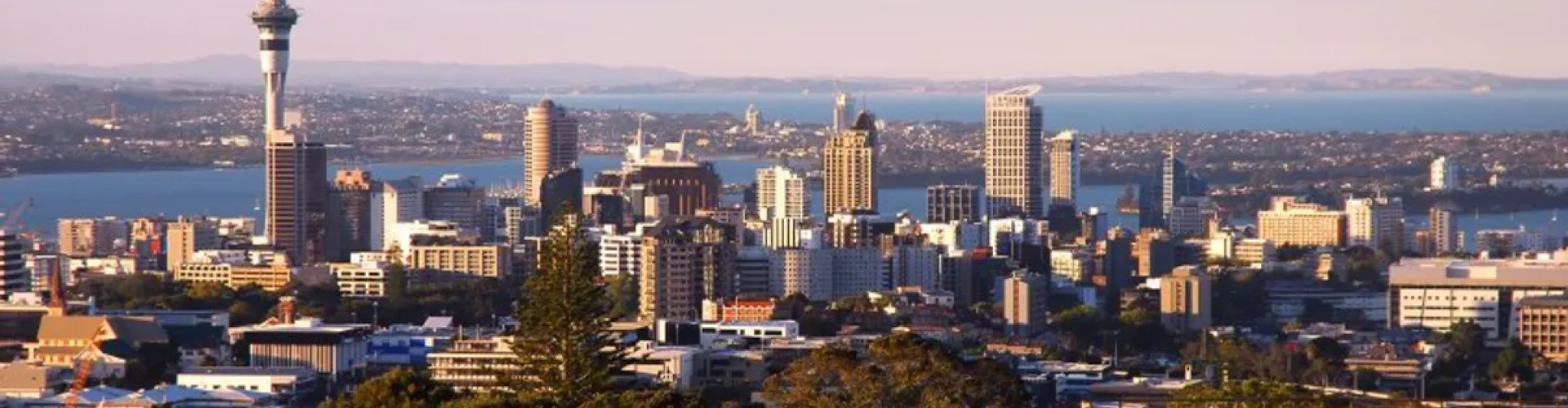 Auckland ferry and city view