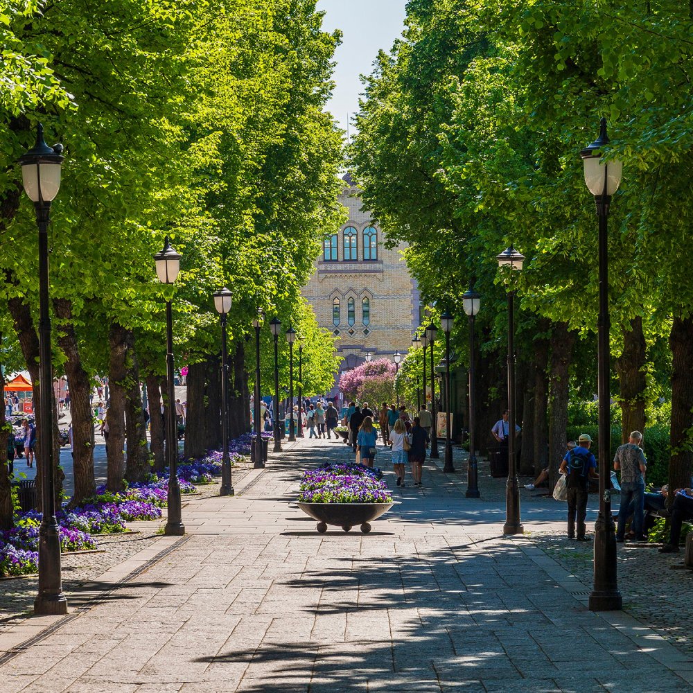 Unveiling Oslo: Your Ultimate Guide to the Best Things to Do in Oslo, NO
