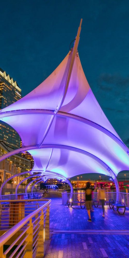 Street view highlighting transport in Tampa